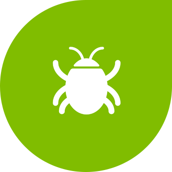 Ծովաբողկ տերևակեր